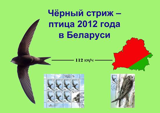 ��������: ��������: ��������: ������ ����� 1_2012.jpg
